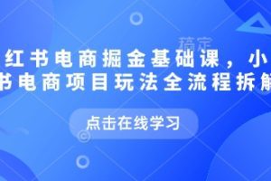 小红书电商掘金课，小红书电商项目玩法全流程拆解(更新5月)