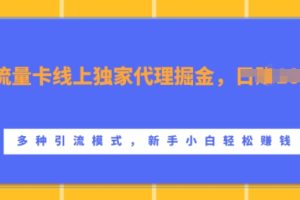 流量卡线上独家代理掘金，日入1k+ ，多种引流模式，新手小白轻松上手