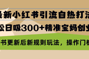 最新小红书引流自热打法，轻松日吸300+精准宝妈创业粉，小红书更新后新