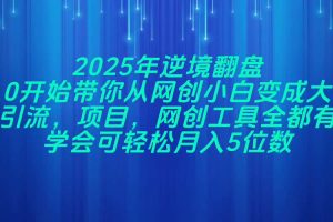 2025年逆境翻盘，从0开始带你从网创小白变成大佬，引流，项目，网创工