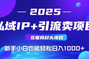 私域IP+卖项目，普通人小白也能轻松实现日入1000+