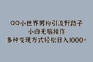 QQ小世界男粉引流野路子，小白无脑操作，多种变现方式轻松日入1000+