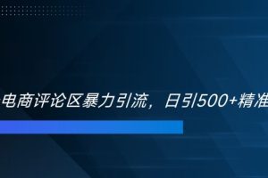双十一电商评论区暴力引流，日引500+精准创业粉