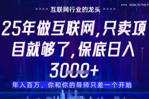 什么！25年你还在找项目做？风口早就变了，卖项目才是稳挣不赔【揭秘】