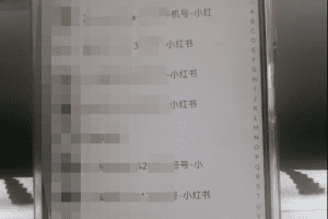 暴力引流 小红书图文引流日引100私域全面拆解【打粉人必看】