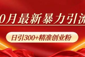 10月最新暴力引流，日引300+精准创业粉