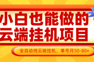 小白也能做的云端挂机项目无需操作，云端挂机，支持批量，单号月50-100，完全解放双手