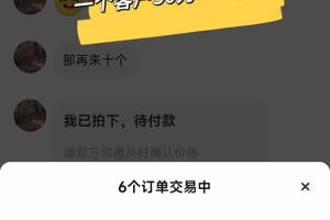闲鱼卖拼多多助力项目，蓝海市场新手也能单号日入1000+