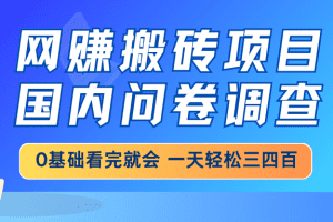 网赚搬砖项目，国内问卷调查，0基础看完就会 一天轻松三四百，靠谱副业
