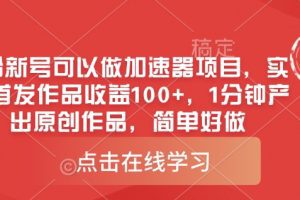 0粉新号可以做的加速器项目，实测首发作品收益100+，1分钟产出原创作品，简单好做