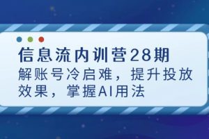 信息流内训营28期，解账号冷启难，提升投放效果，掌握AI用法