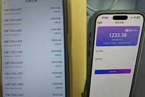 最新语聊自刷项目，亲测3天搞了一千多，不剪辑，不发作品，不带货，简单无脑，无门槛