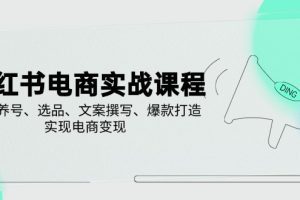 小红书电商实战课程，详解养号、选品、文案撰写、爆款打造，实现电商变现
