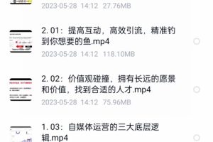 自媒体-成长IP训练营【第4期】：带你从0到1跑通小红书-闭环（39节）