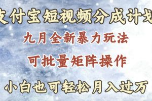 九月最新暴力玩法，支付宝短视频分成计划，轻松月入过万