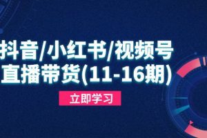 抖音/小红书/视频号/直播带货(11-16期
