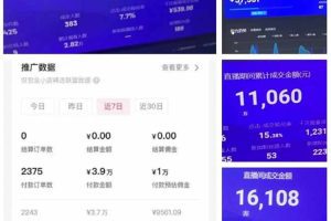 AI智能无人直播，无需出镜，单日收益1000+