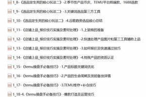 2024-TEMU拼多多·跨境开店、运营、选品（25节视频课）
